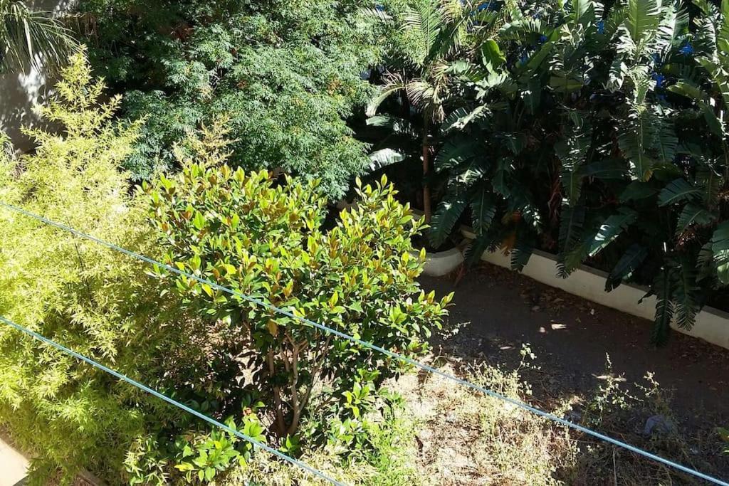 Seaside Family Apartment Loutraki エクステリア 写真